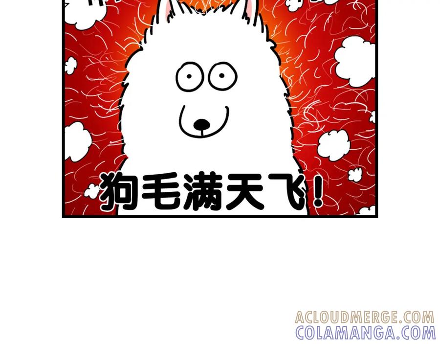 《我的狗子叫棉花》第1话 掉毛大王 第7页