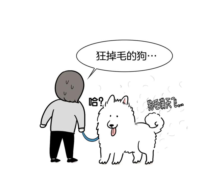 《我的狗子叫棉花》第1话 掉毛大王 第74页