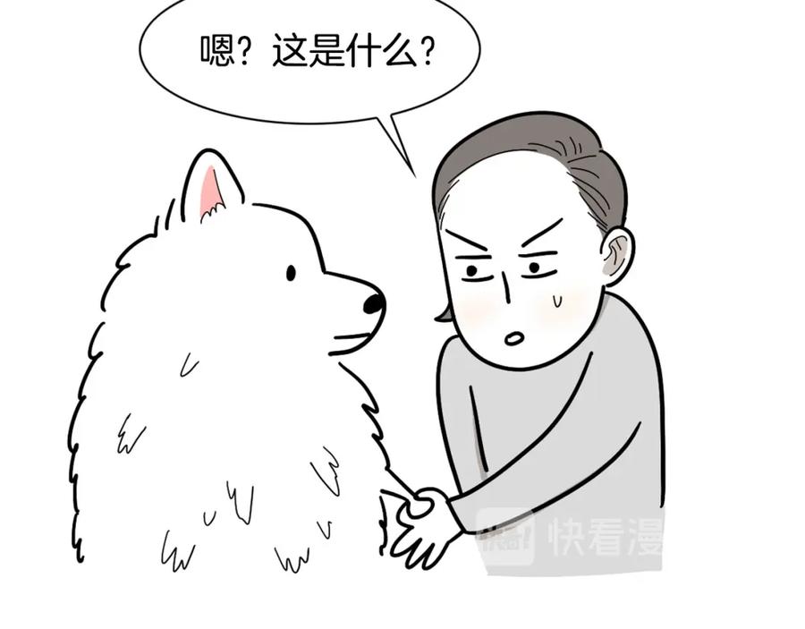 《我的狗子叫棉花》第1话 掉毛大王 第48页