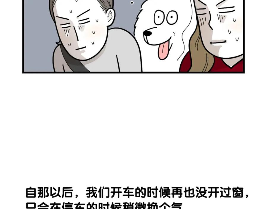 《我的狗子叫棉花》第1话 掉毛大王 第41页