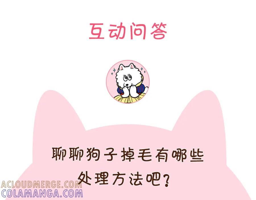 《我的狗子叫棉花》第1话 掉毛大王 第91页
