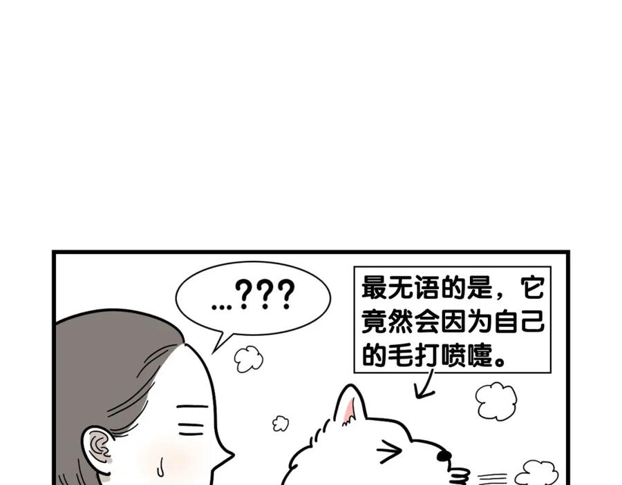 《我的狗子叫棉花》第1话 掉毛大王 第24页