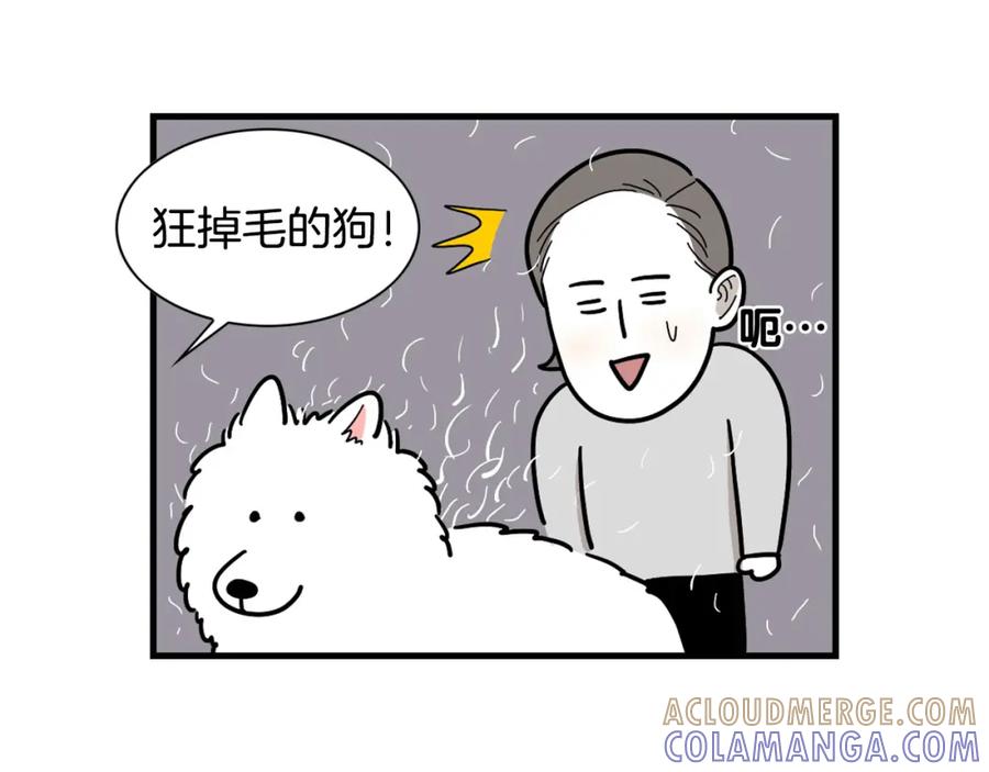 《我的狗子叫棉花》第1话 掉毛大王 第73页