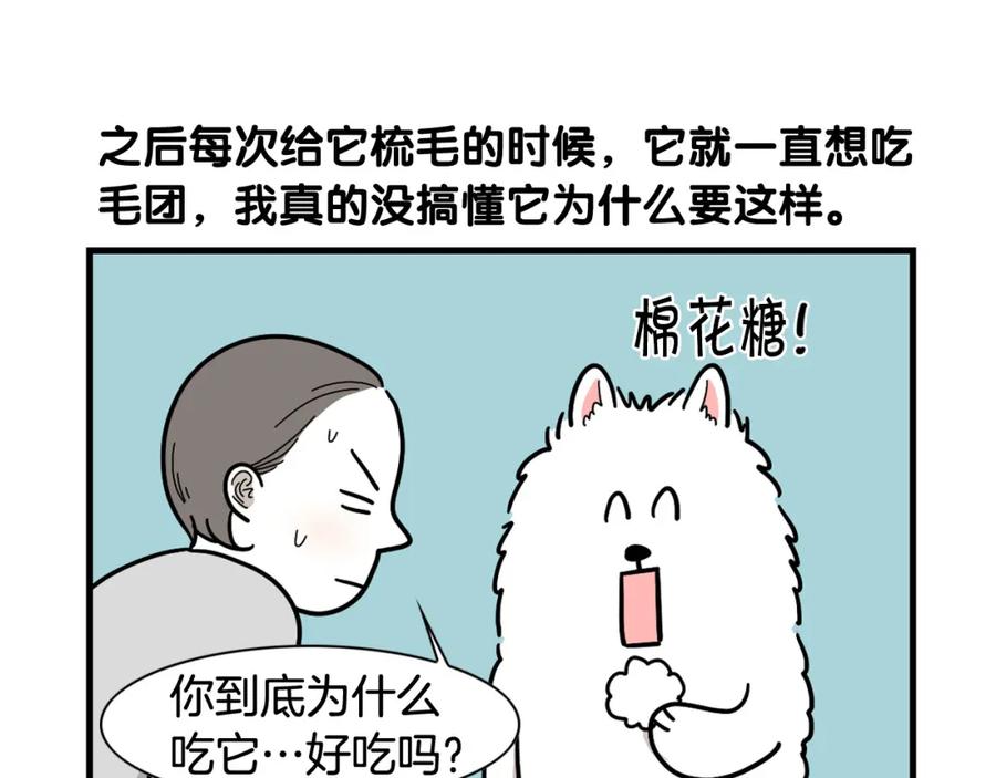 《我的狗子叫棉花》第1话 掉毛大王 第68页