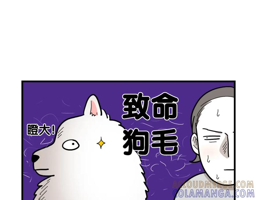 《我的狗子叫棉花》第1话 掉毛大王 第43页