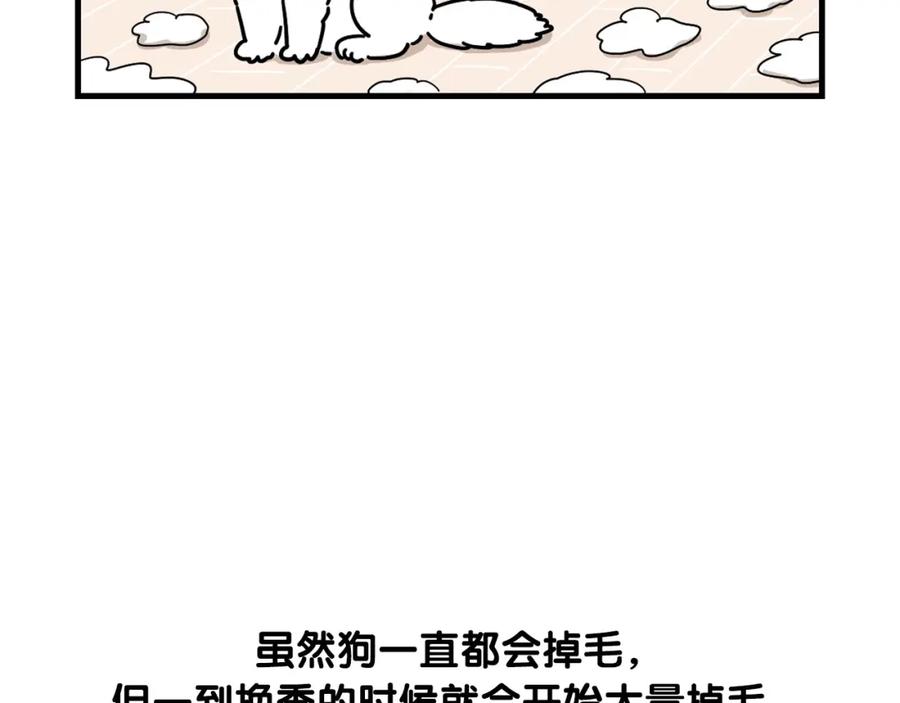 《我的狗子叫棉花》第1话 掉毛大王 第9页