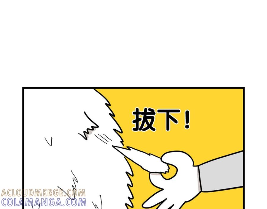 《我的狗子叫棉花》第1话 掉毛大王 第49页