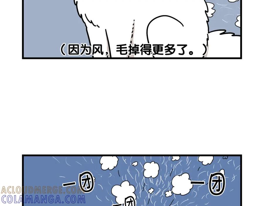 《我的狗子叫棉花》第1话 掉毛大王 第34页