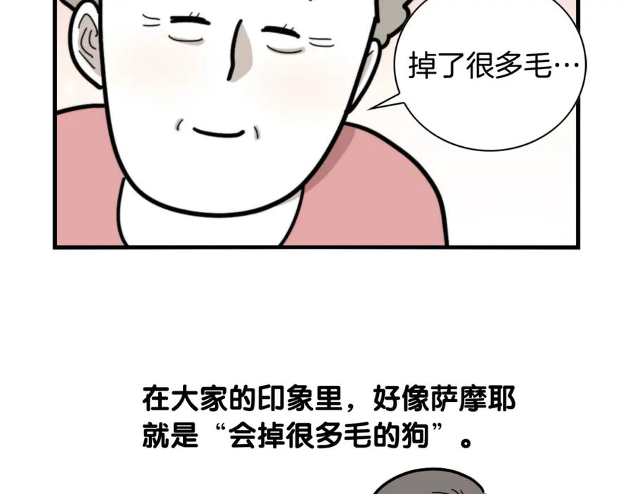 《我的狗子叫棉花》第1话 掉毛大王 第86页