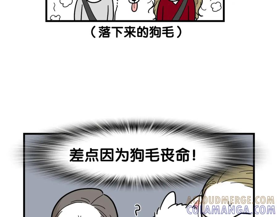 《我的狗子叫棉花》第1话 掉毛大王 第40页