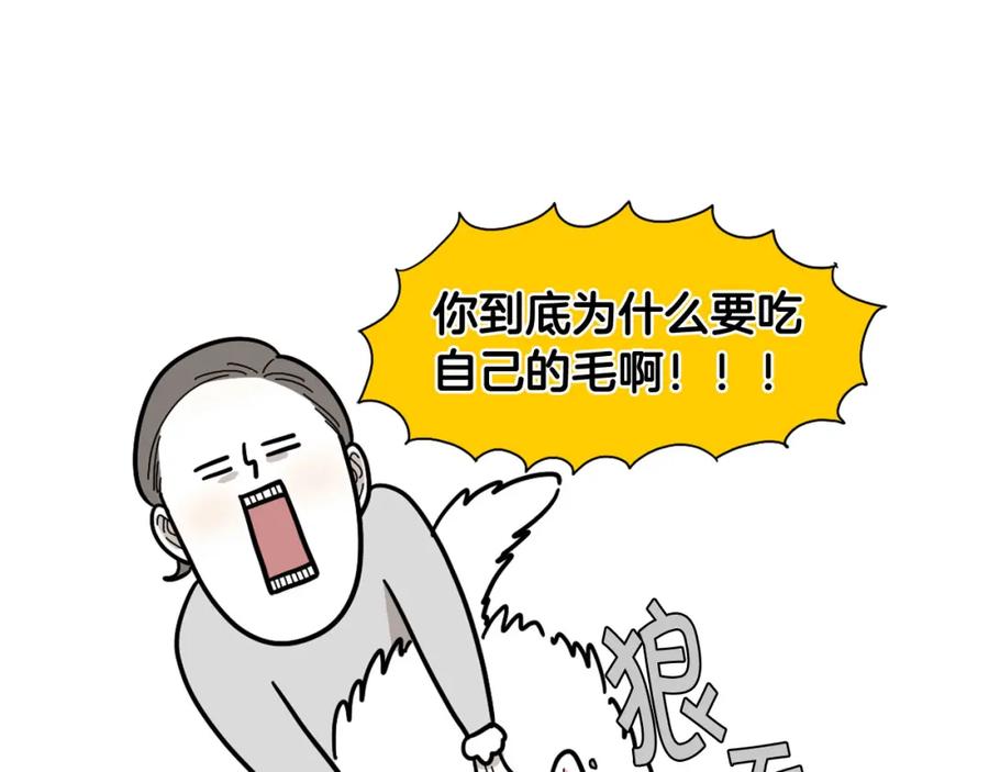《我的狗子叫棉花》第1话 掉毛大王 第65页