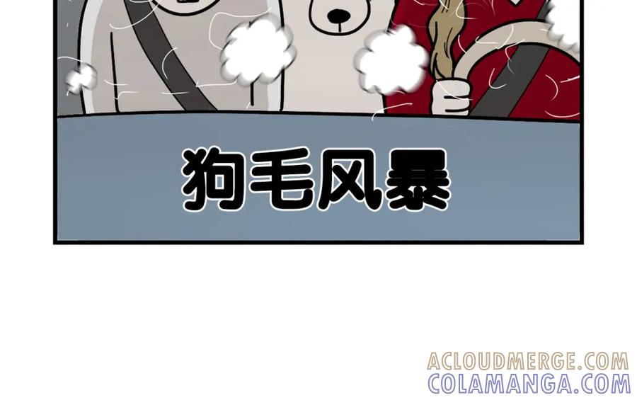 《我的狗子叫棉花》第1话 掉毛大王 第37页