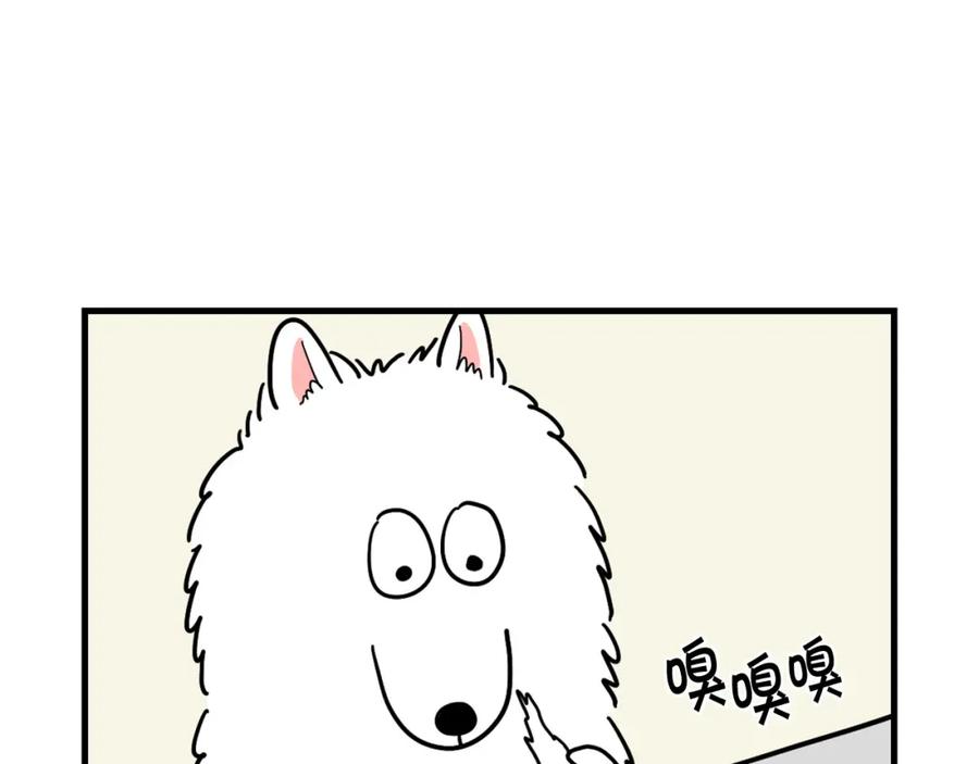 《我的狗子叫棉花》第1话 掉毛大王 第59页