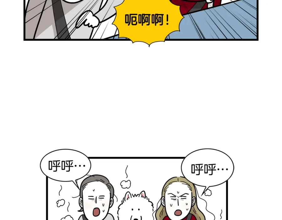 《我的狗子叫棉花》第1话 掉毛大王 第39页