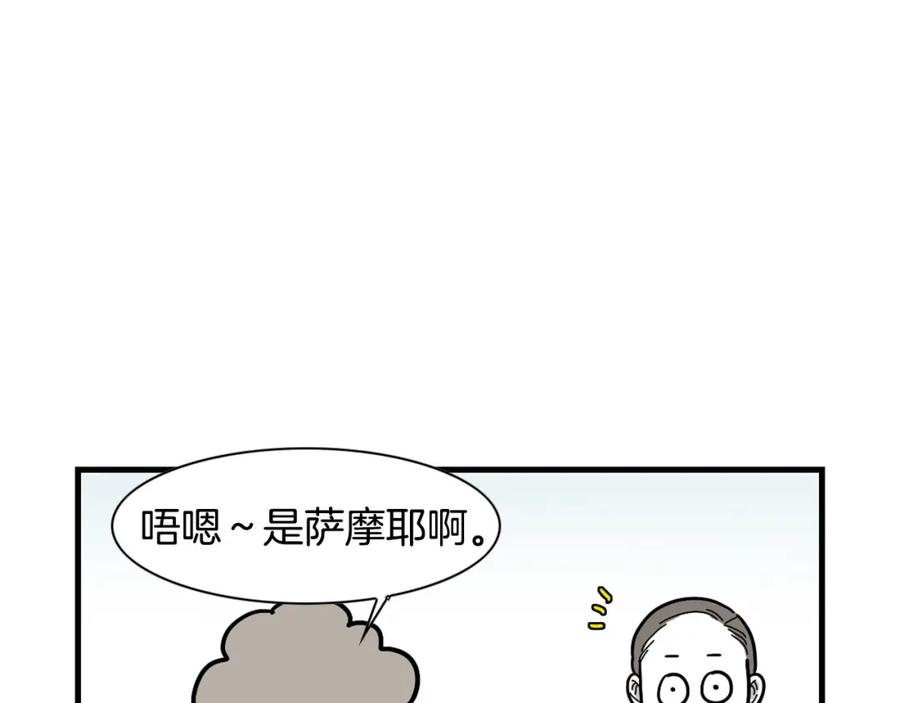 《我的狗子叫棉花》第1话 掉毛大王 第75页