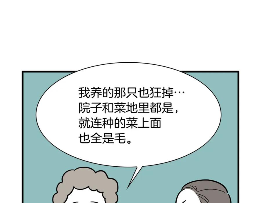 《我的狗子叫棉花》第1话 掉毛大王 第80页