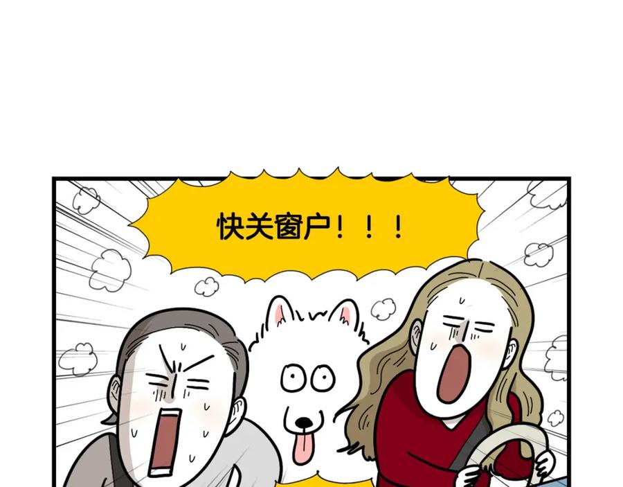 《我的狗子叫棉花》第1话 掉毛大王 第38页