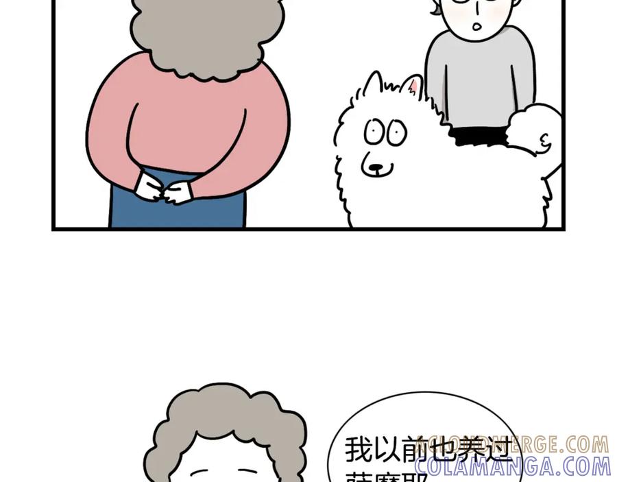 《我的狗子叫棉花》第1话 掉毛大王 第76页
