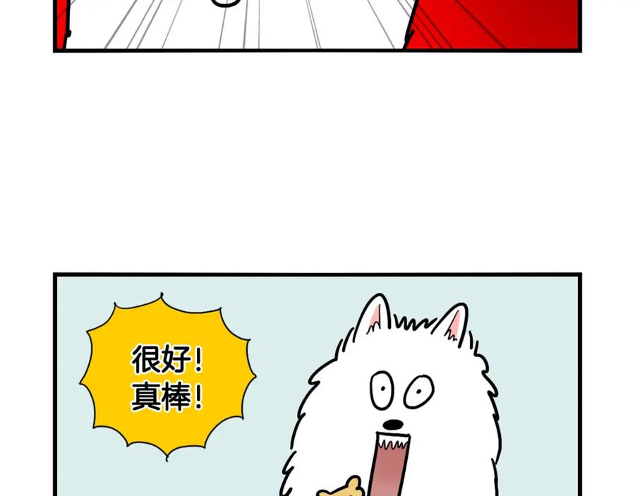 《我的狗子叫棉花》第2话 训练狗子 第48页