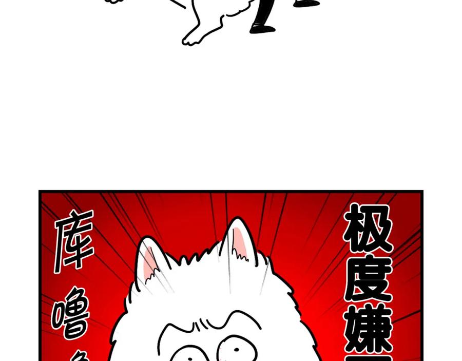 《我的狗子叫棉花》第2话 训练狗子 第45页