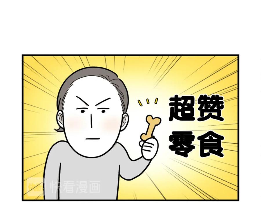 《我的狗子叫棉花》第2话 训练狗子 第15页