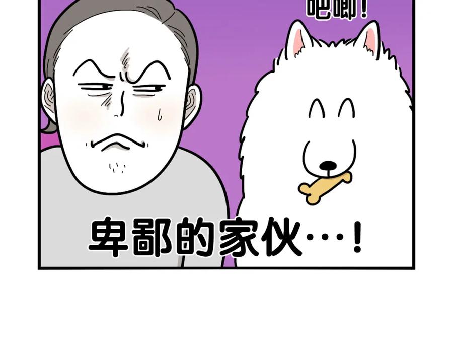 《我的狗子叫棉花》第2话 训练狗子 第24页