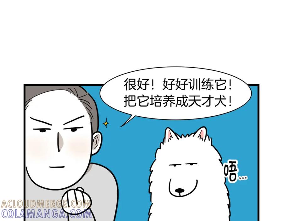 《我的狗子叫棉花》第2话 训练狗子 第73页