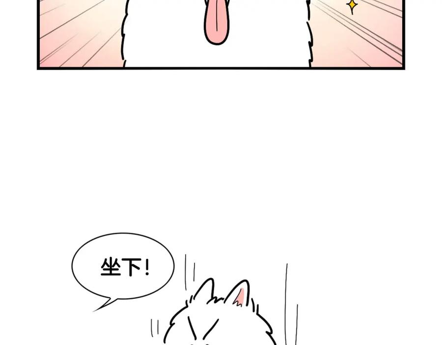 《我的狗子叫棉花》第2话 训练狗子 第17页