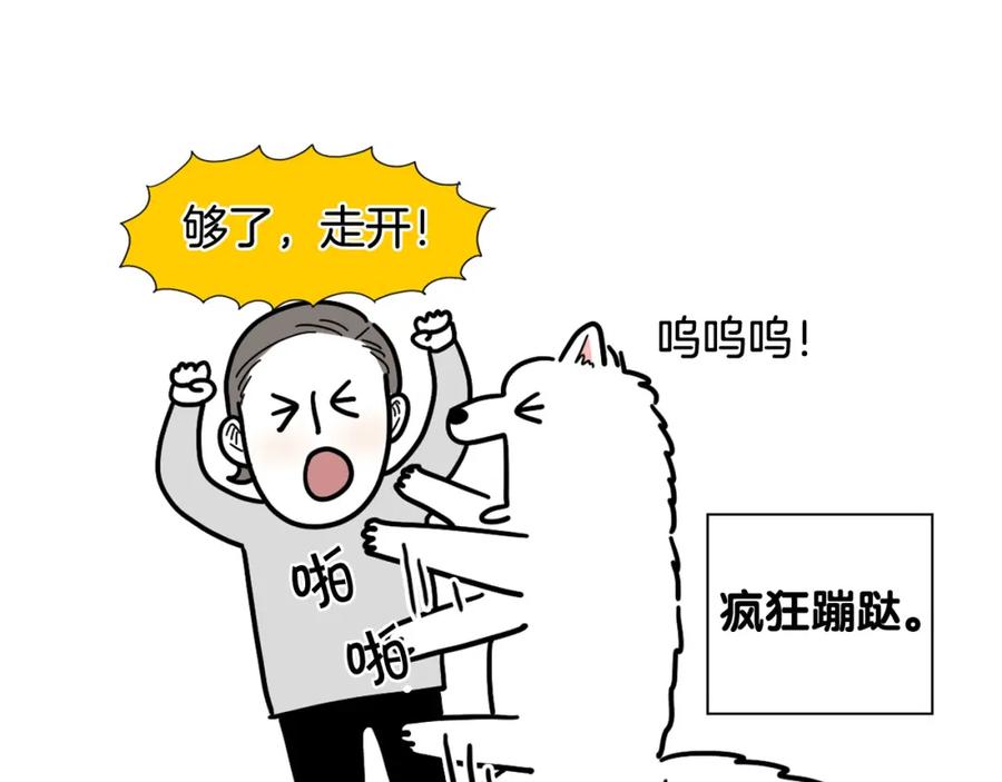 《我的狗子叫棉花》第3话 热烈迎你回家！ 第23页