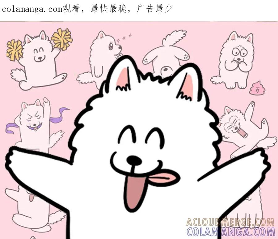 《我的狗子叫棉花》第3话 热烈迎你回家！ 第1页