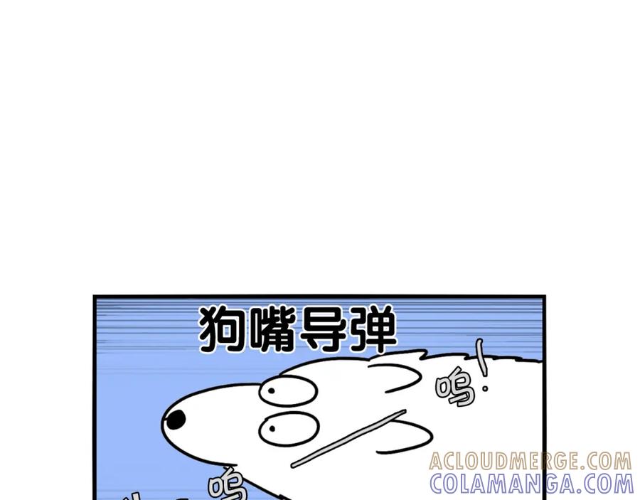 《我的狗子叫棉花》第3话 热烈迎你回家！ 第17页