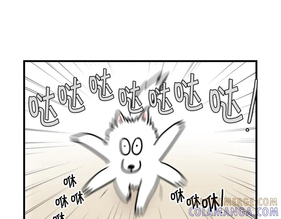 《我的狗子叫棉花》第3话 热烈迎你回家！ 第9页