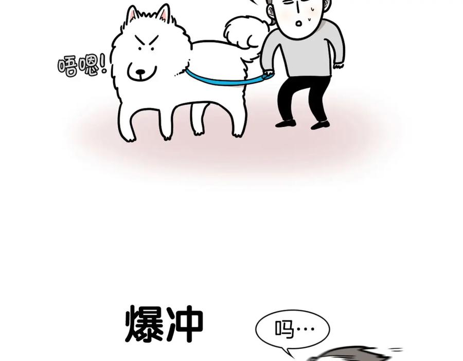 《我的狗子叫棉花》第3话 热烈迎你回家！ 第99页