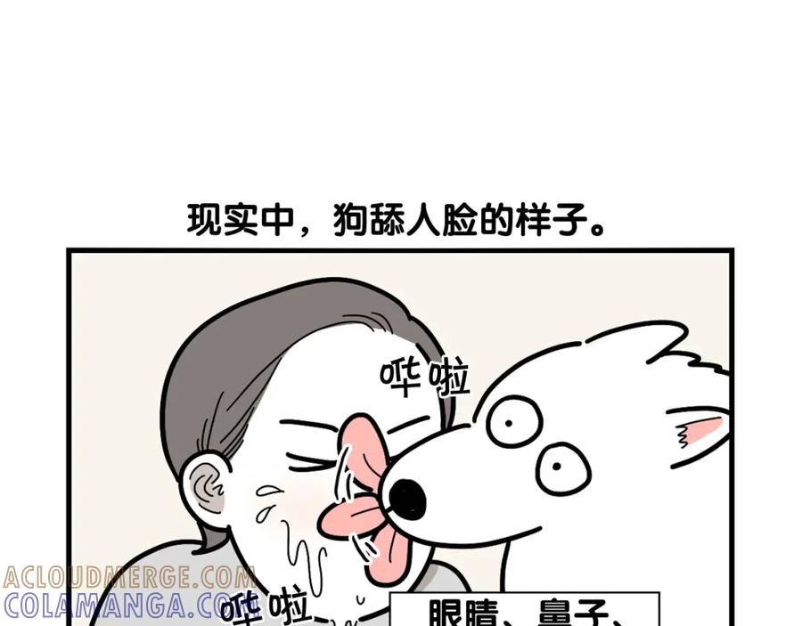 《我的狗子叫棉花》第3话 热烈迎你回家！ 第41页