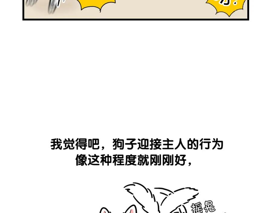 《我的狗子叫棉花》第3话 热烈迎你回家！ 第14页