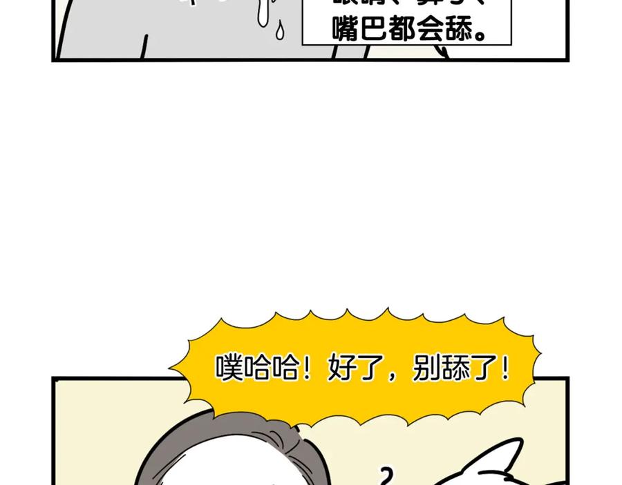 《我的狗子叫棉花》第3话 热烈迎你回家！ 第42页