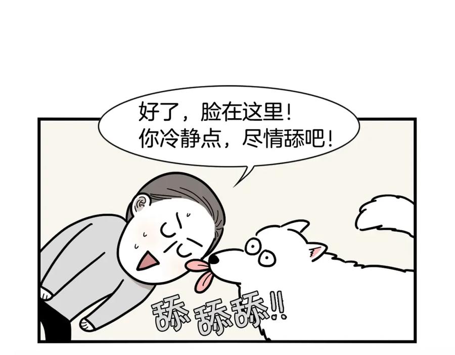 《我的狗子叫棉花》第3话 热烈迎你回家！ 第38页