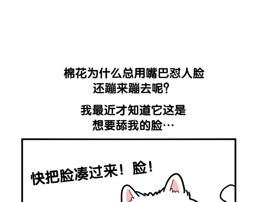 《我的狗子叫棉花》第3话 热烈迎你回家！ 第35页