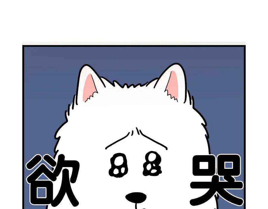 《我的狗子叫棉花》第3话 热烈迎你回家！ 第71页