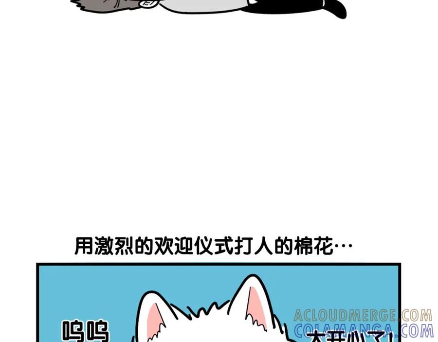《我的狗子叫棉花》第3话 热烈迎你回家！ 第29页