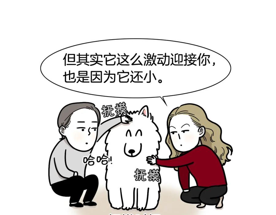 《我的狗子叫棉花》第3话 热烈迎你回家！ 第84页
