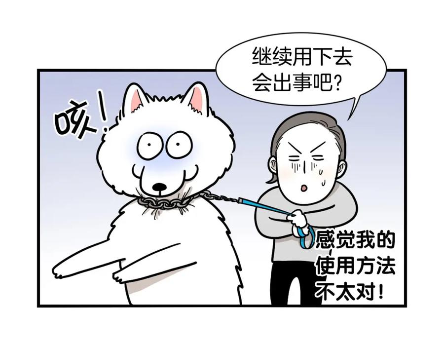 《我的狗子叫棉花》第4话 训练狗狗大作战！ 第48页