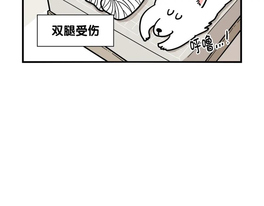 《我的狗子叫棉花》第4话 训练狗狗大作战！ 第39页
