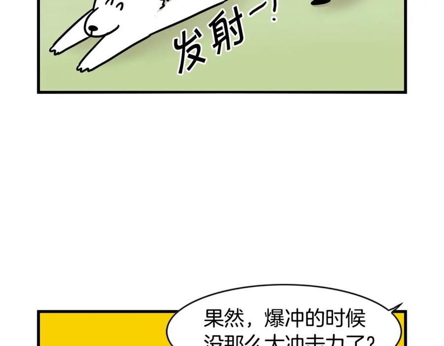 《我的狗子叫棉花》第4话 训练狗狗大作战！ 第69页