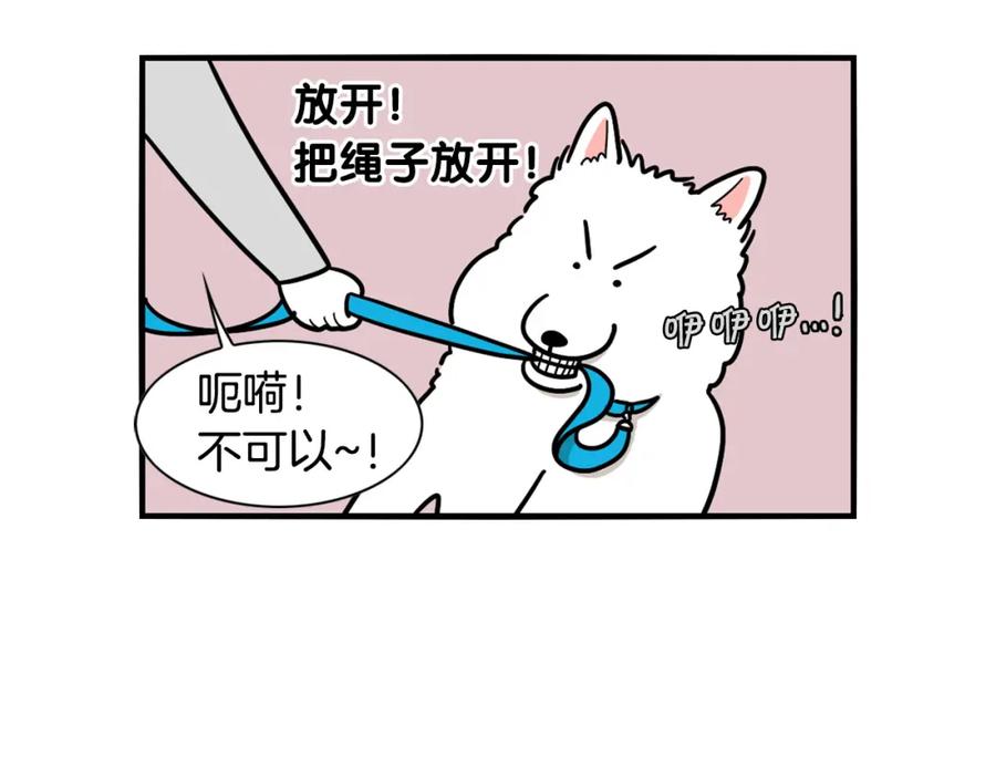 《我的狗子叫棉花》第4话 训练狗狗大作战！ 第14页