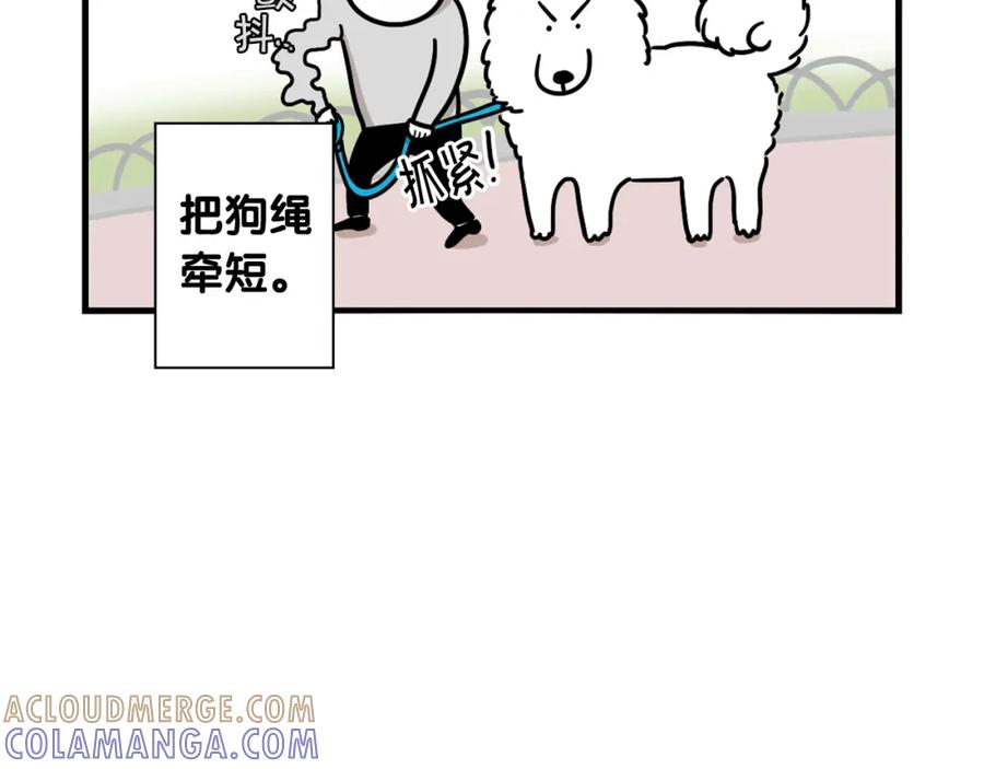 《我的狗子叫棉花》第4话 训练狗狗大作战！ 第13页