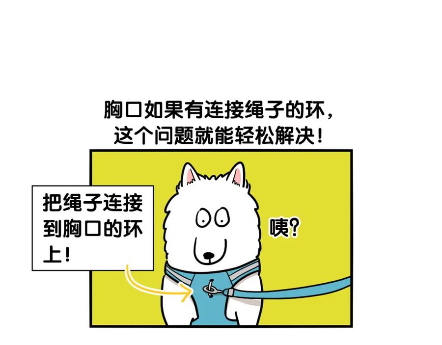 《我的狗子叫棉花》第4话 训练狗狗大作战！ 第57页