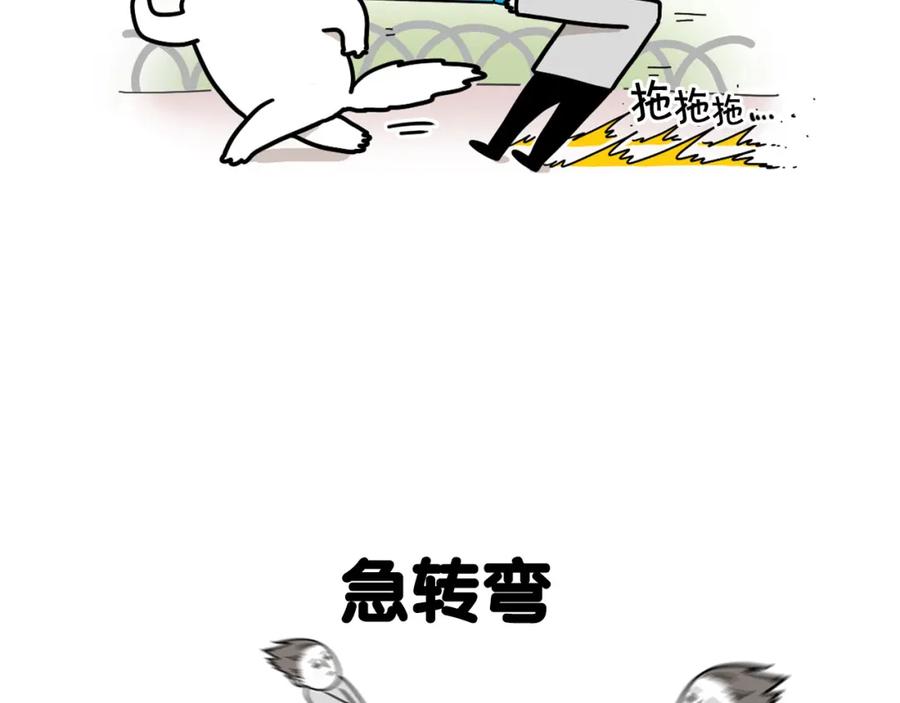 《我的狗子叫棉花》第4话 训练狗狗大作战！ 第6页