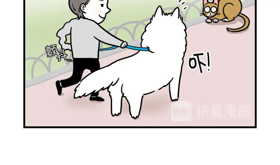 《我的狗子叫棉花》第4话 训练狗狗大作战！ 第17页
