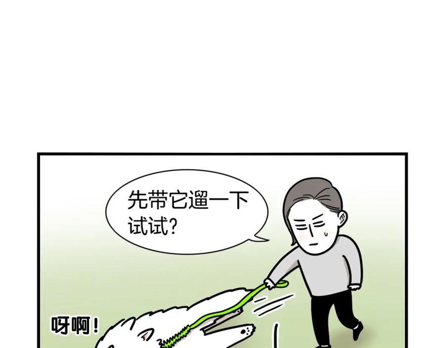 《我的狗子叫棉花》第4话 训练狗狗大作战！ 第68页